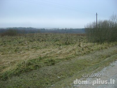 Land for sale Vilniaus rajono sav., Savičiūnuose