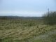 Land for sale Vilniaus rajono sav., Savičiūnuose (3 picture)
