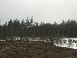 Land for sale Druskininkų sav., Druskininkuose, Pylimo g.