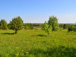 Land for sale Alytaus rajono sav., Poteronyse, Kauno g.