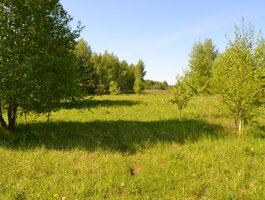 Land for sale Alytaus rajono sav., Poteronyse, Kauno g.