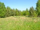 Land for sale Alytaus rajono sav., Poteronyse, Kauno g. (6 picture)