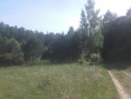 Land for sale Klaipėdos rajono sav., Šernuose