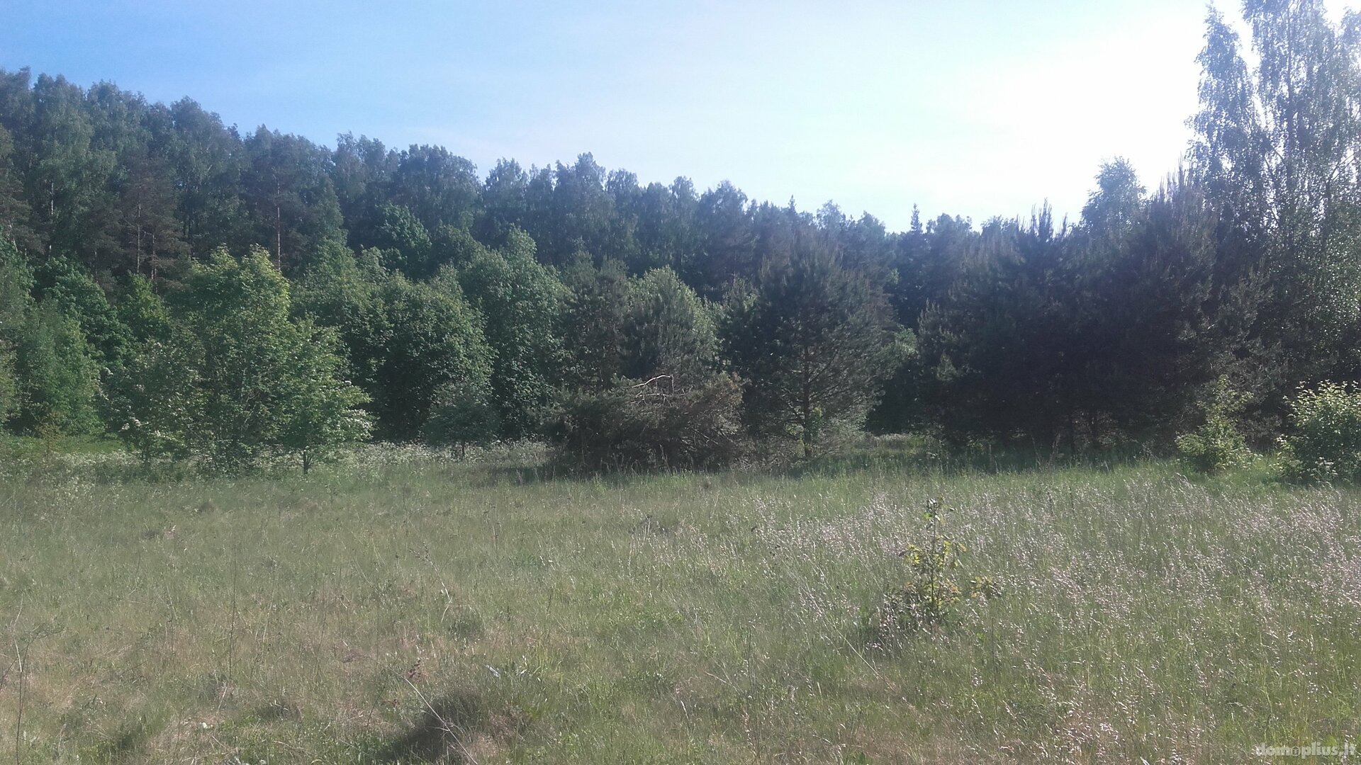 Land for sale Klaipėdos rajono sav., Šernuose