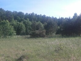 Land for sale Klaipėdos rajono sav., Šernuose