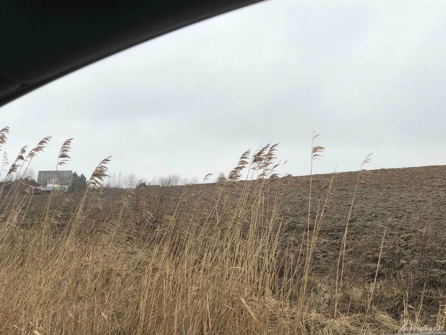 Parduodamas sklypas Klaipėdos rajono sav., Dargužiuose