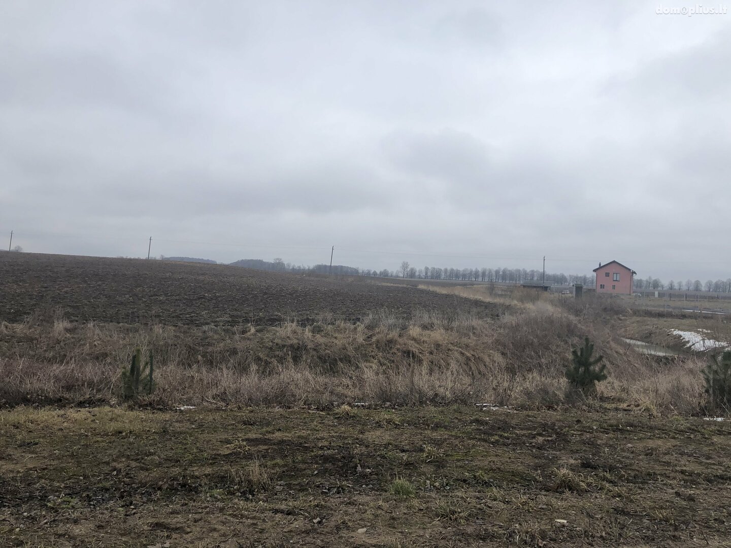 Land for sale Klaipėdos rajono sav., Dargužiuose