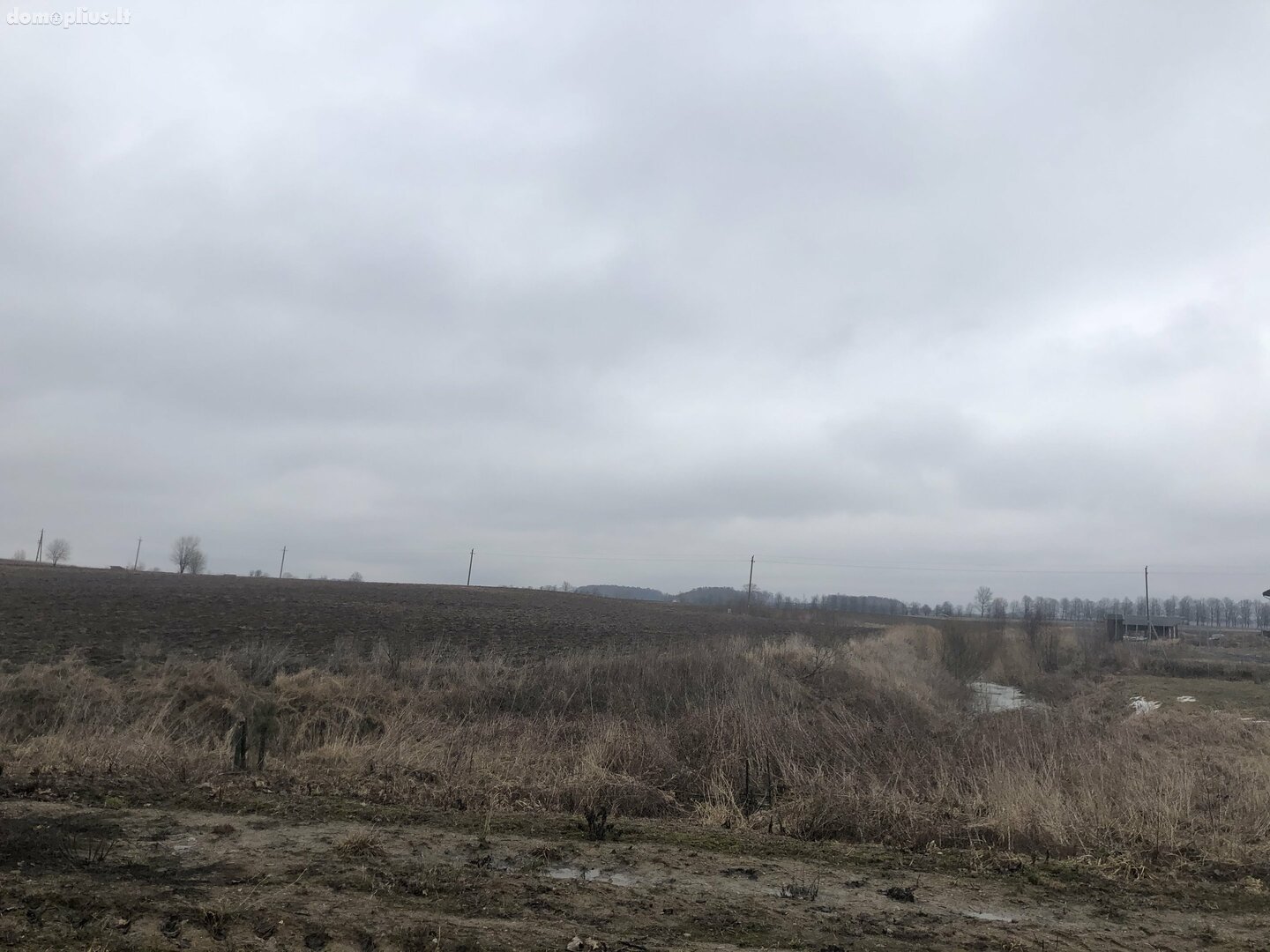 Land for sale Klaipėdos rajono sav., Dargužiuose