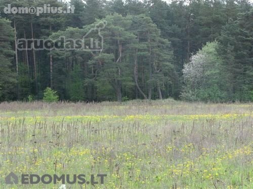 Parduodamas sklypas Jonavos rajono sav., Prauliuose