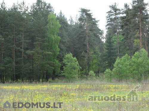 Parduodamas sklypas Jonavos rajono sav., Prauliuose