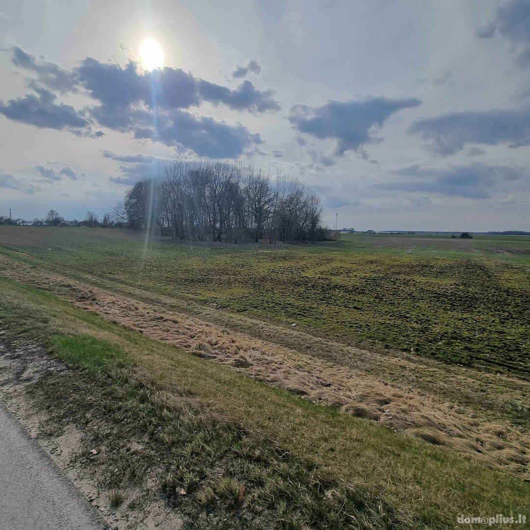 Parduodamas sklypas Panevėžio rajono sav., Šilagalyje