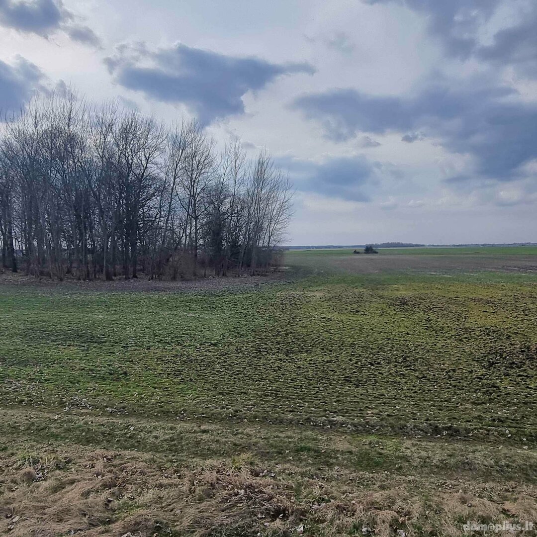 Parduodamas sklypas Panevėžio rajono sav., Šilagalyje