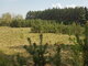 Land for sale Alytaus rajono sav., Kančėnuose (5 picture)