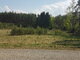 Land for sale Alytaus rajono sav., Kančėnuose (6 picture)