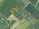 Land for sale Kauno rajono sav., Šlienavoje, Žalioji g. (2 picture)