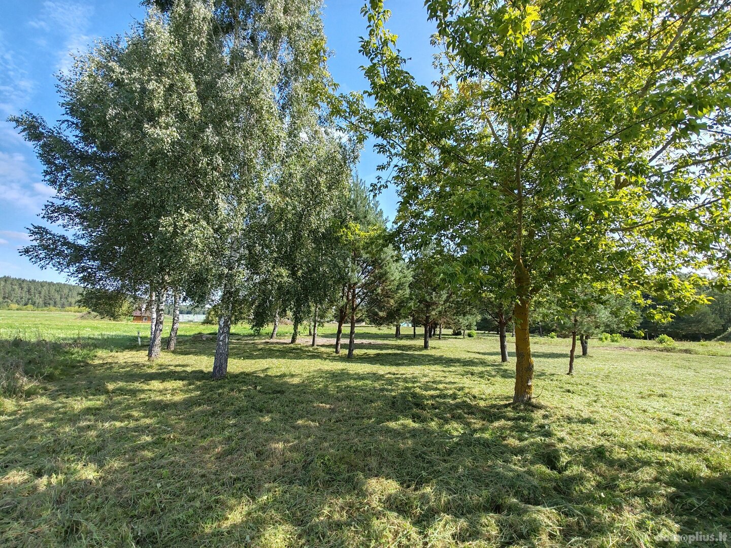 Parduodamas sklypas Druskininkų sav., Gailiūnuose, Gailiūnų g.