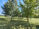 Land for sale Druskininkų sav., Gailiūnuose, Gailiūnų g. (9 picture)