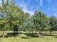 Land for sale Druskininkų sav., Gailiūnuose, Gailiūnų g. (10 picture)