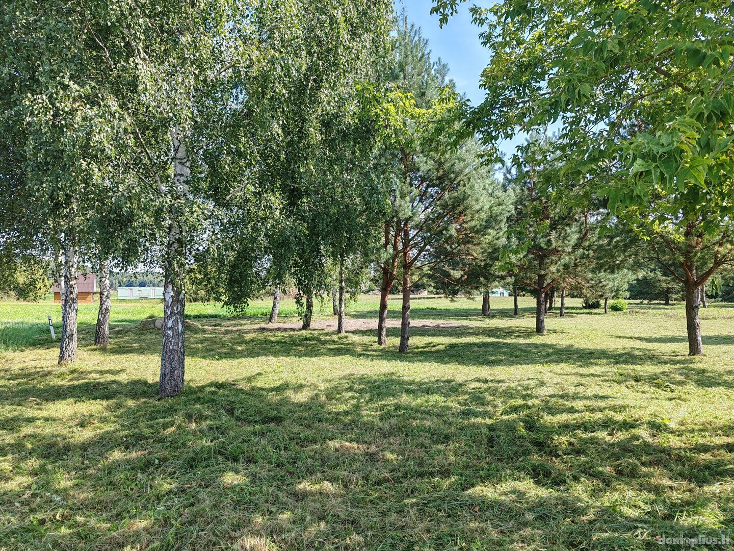 Parduodamas sklypas Druskininkų sav., Gailiūnuose, Gailiūnų g.