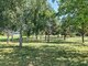 Land for sale Druskininkų sav., Gailiūnuose, Gailiūnų g. (12 picture)