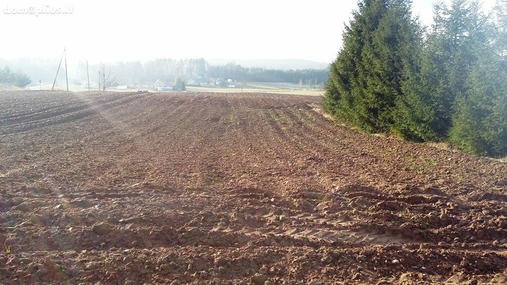 Land for sale Alytaus rajono sav., Užupiuose, Miškininkų g.