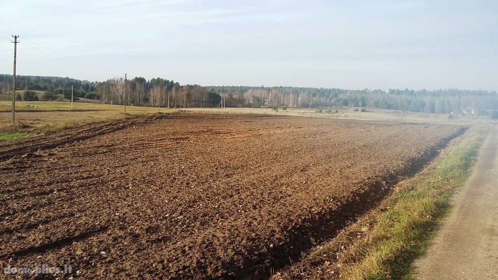 Parduodamas sklypas Alytaus rajono sav., Užupiuose, Miškininkų g.