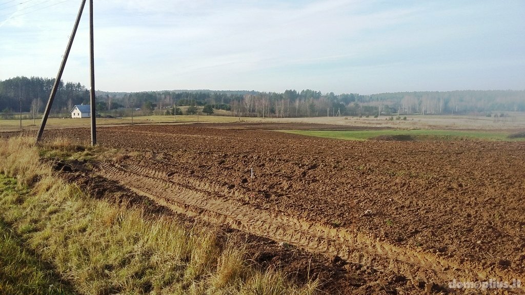 Участок Alytaus rajono sav., Užupiuose, Miškininkų g.