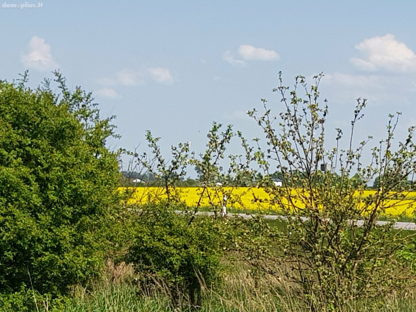 Parduodamas sklypas Šiaulių rajono sav., Vinkšnėnuose
