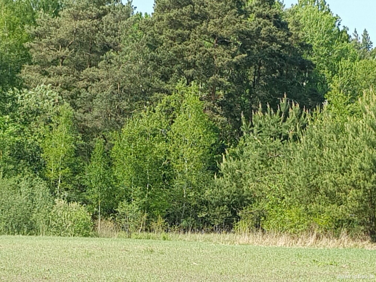 Parduodamas sklypas Šiaulių rajono sav., Vinkšnėnuose