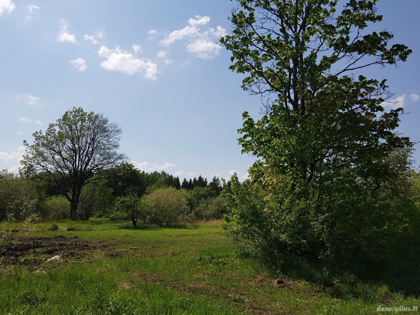 Parduodamas sklypas Šiaulių rajono sav., Vinkšnėnuose
