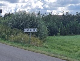 Land Kauno rajono sav., Ringauduose, Jurginų g.