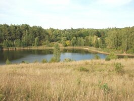 Parduodamas sklypas Trakų rajono sav., Senoji Būda