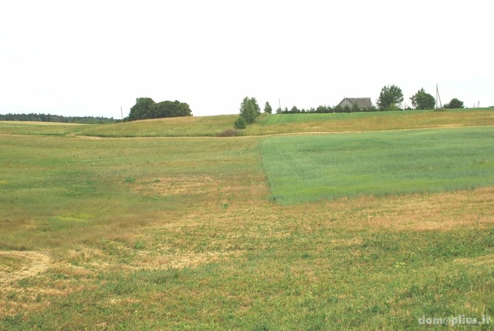 Parduodamas sklypas Vilniaus rajono sav., Gudeliuose