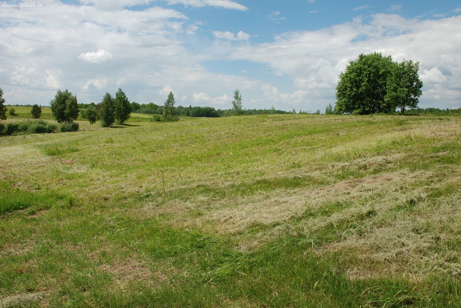 Land for sale Vilniaus rajono sav., Gudeliuose