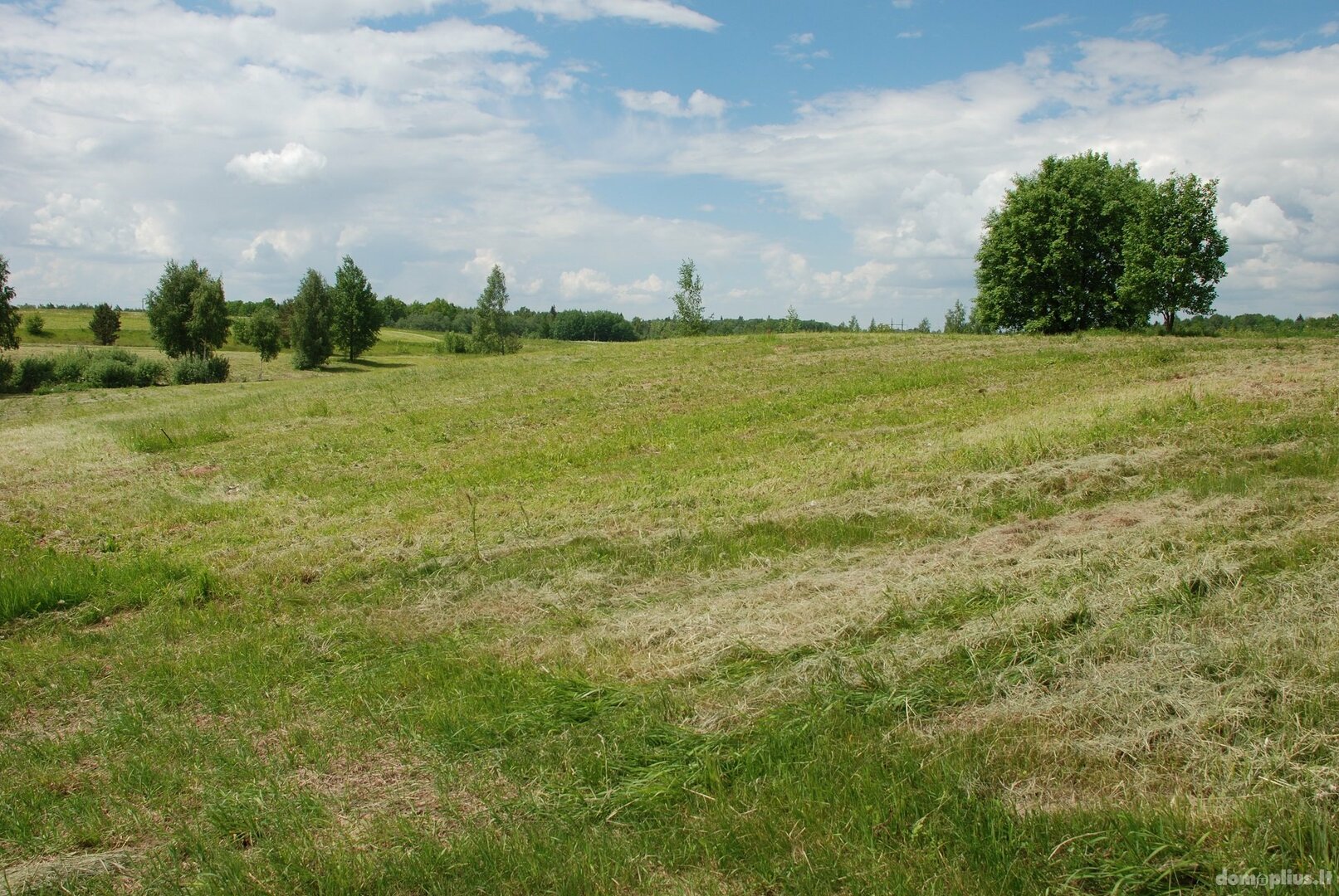 Участок Vilniaus rajono sav., Gudeliuose