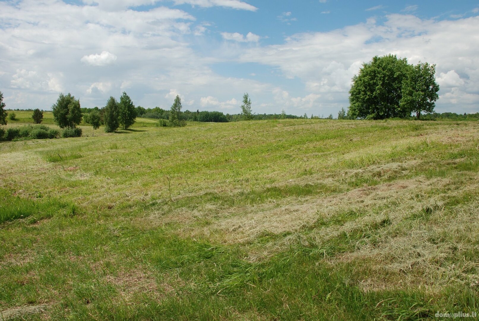 Parduodamas sklypas Vilniaus rajono sav., Gudeliuose