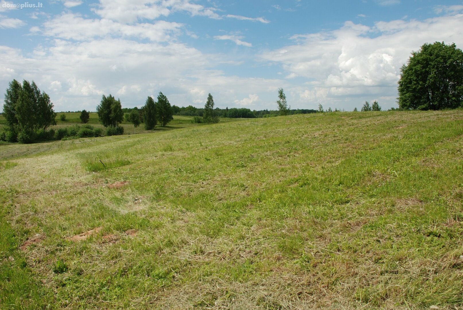 Участок Vilniaus rajono sav., Gudeliuose