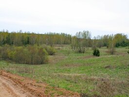 Parduodamas sklypas Vilniaus rajono sav., Vydautiškėse