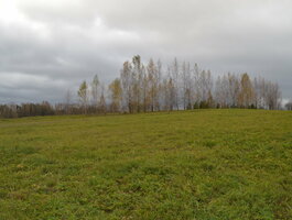 Land for sale Alytaus r. sav., Kaniūkuose, Pylimo g.