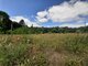 Land for sale Druskininkų sav., Jaskonyse, Paupio g. (6 picture)