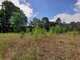 Land for sale Druskininkų sav., Jaskonyse, Paupio g. (9 picture)