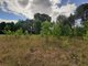 Land for sale Druskininkų sav., Jaskonyse, Paupio g. (13 picture)