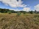 Land for sale Druskininkų sav., Jaskonyse, Paupio g. (14 picture)
