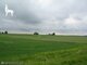 Участок Ukmergės rajono sav. (6 Фотография)