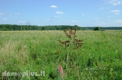 Parduodamas sklypas Vilniaus rajono sav., Ašmenėlėje