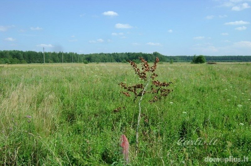 Parduodamas sklypas Vilniaus rajono sav., Ašmenėlėje