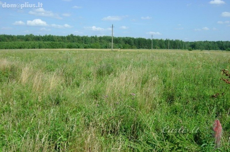 Parduodamas sklypas Vilniaus rajono sav., Ašmenėlėje