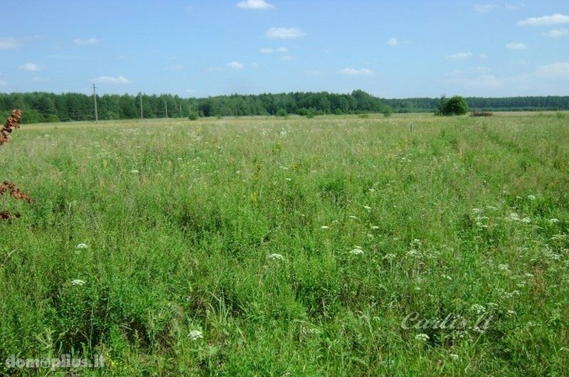 Parduodamas sklypas Vilniaus rajono sav., Ašmenėlėje