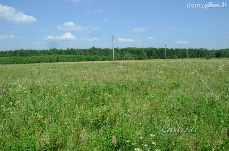 Parduodamas sklypas Vilniaus rajono sav., Ašmenėlėje