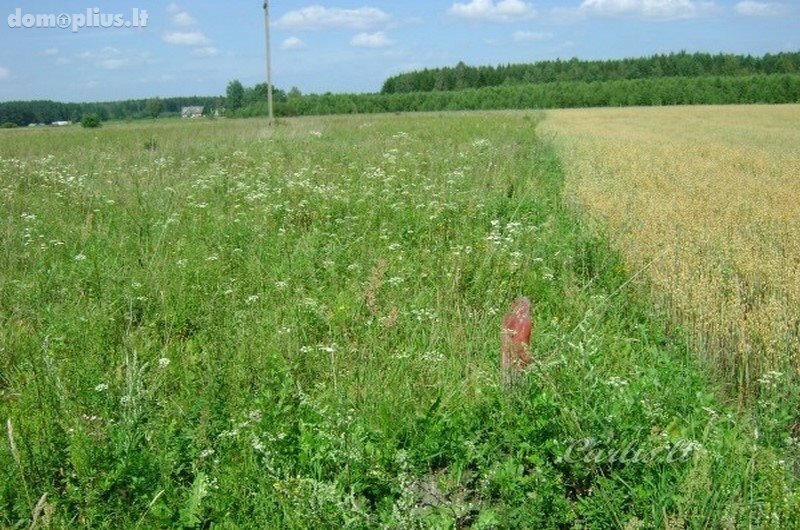 Parduodamas sklypas Vilniaus rajono sav., Ašmenėlėje